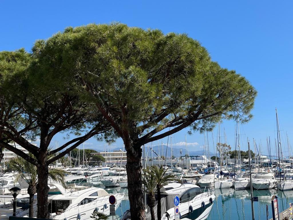 4 Pers , 100M De La Plage Marina Baie Des Anges French Riviera Вильнёв-Лубе Экстерьер фото